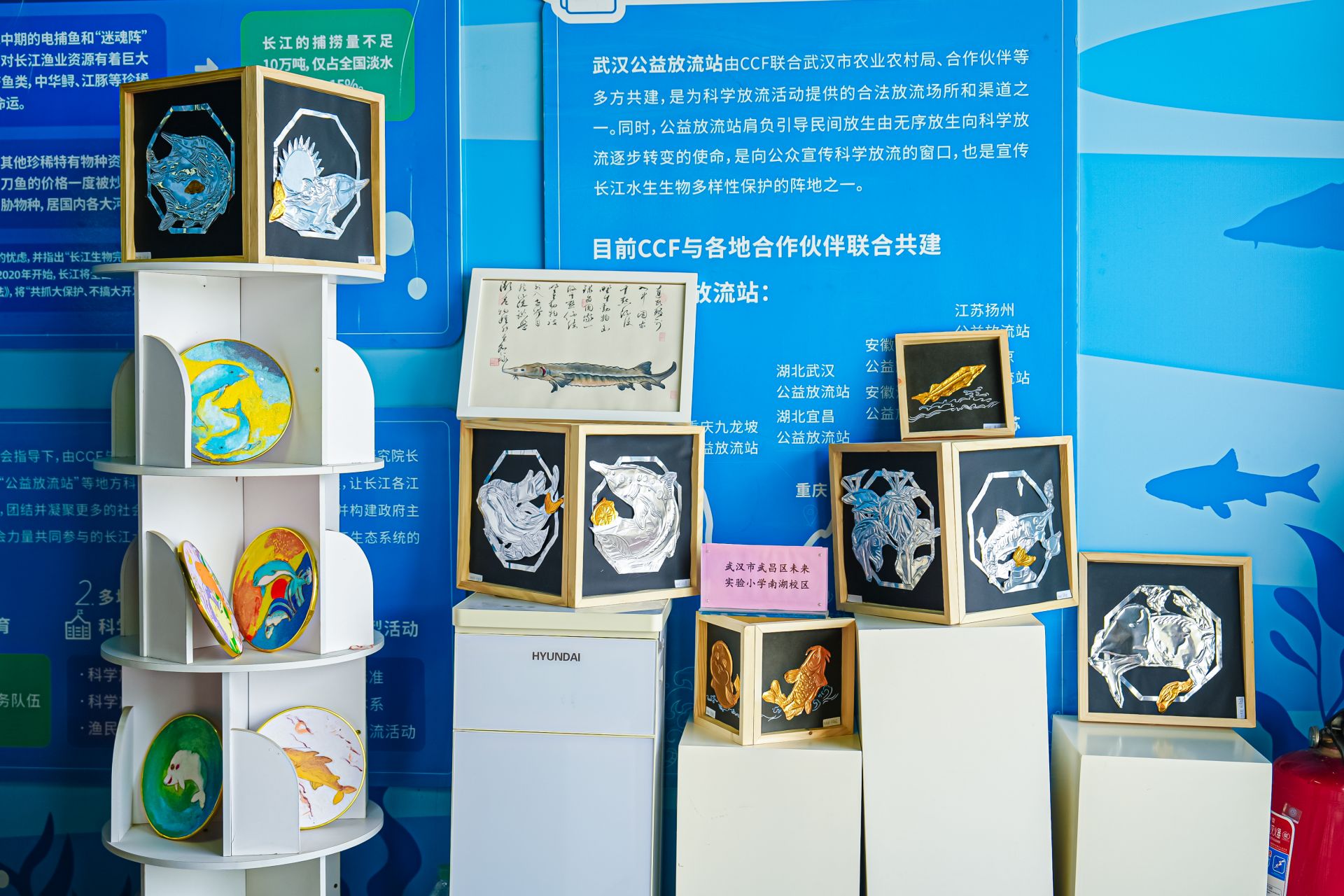 ZY_05614-opq4681673644.jpg.jpg